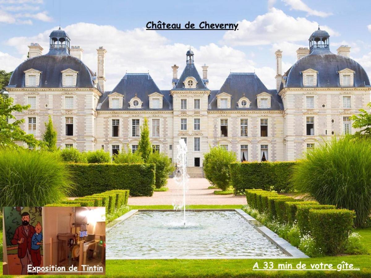 La Porte Aux Dames Romorantin-Lanthenay Luaran gambar